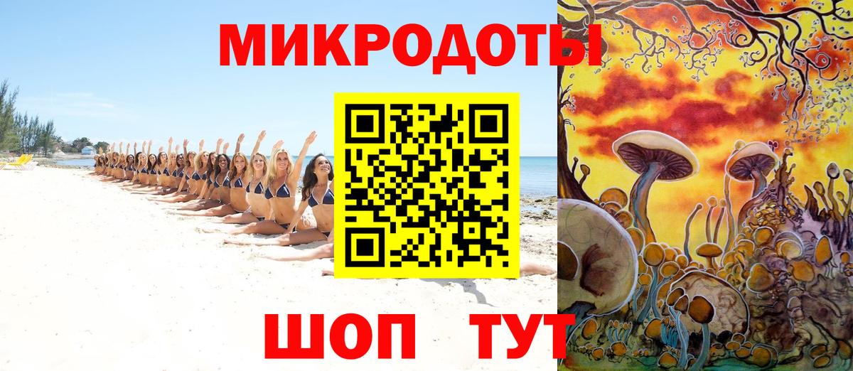 Зима  Псилоцибиновые грибы Psilocybe  Вход с VPN 